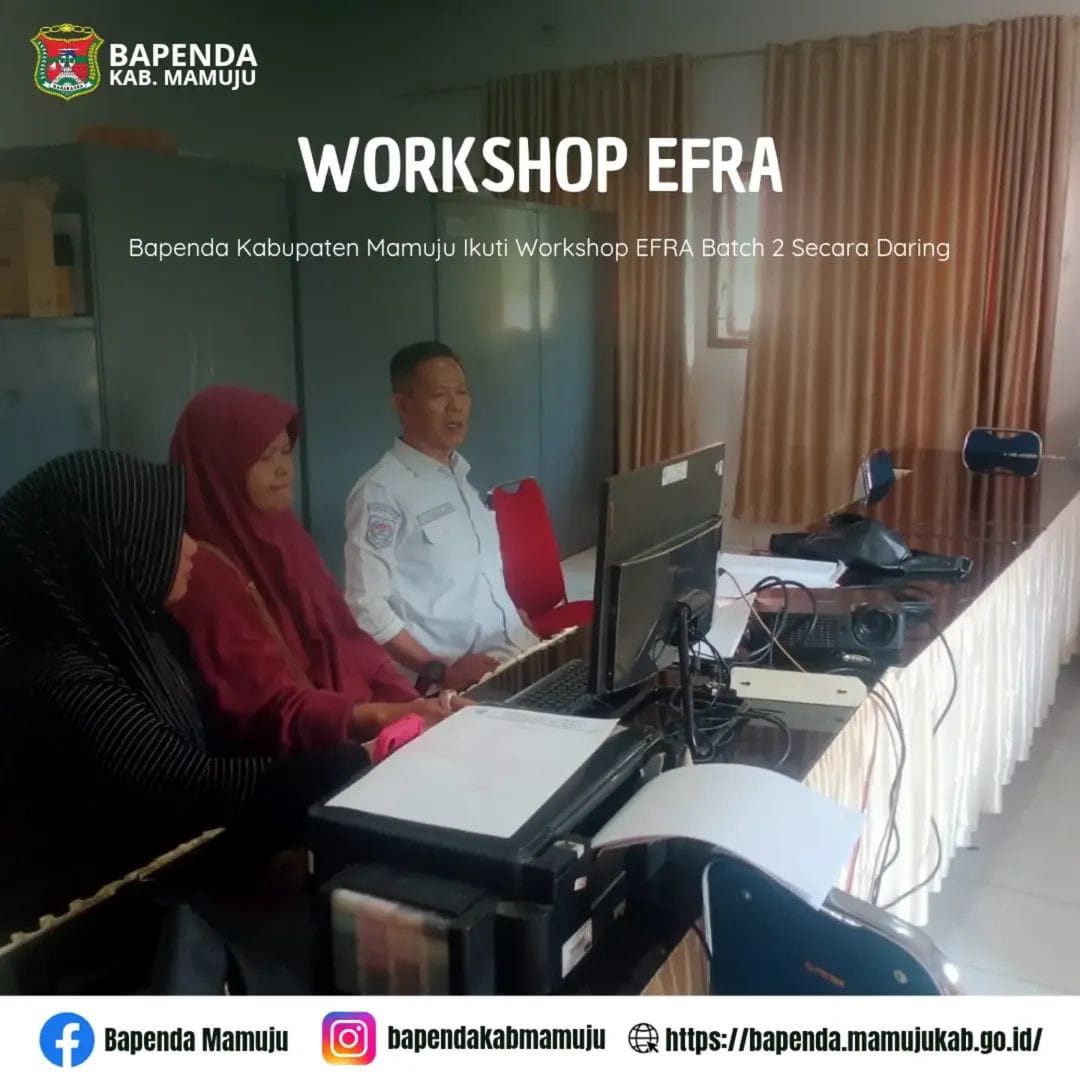 Bapenda Kabupaten Mamuju Ikuti Workshop EFRA Batch 2 thumbnail